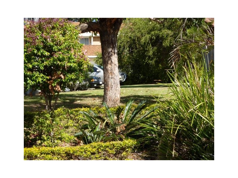 10/452 Hellawell Road cnr Acacia Place, Sunnybank Hills QLD 4109