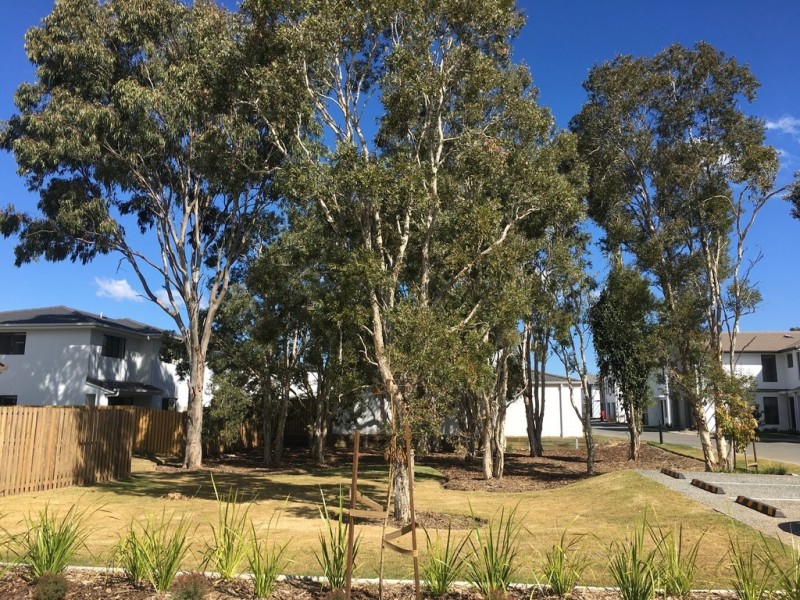 54 Grahams Road, Strathpine QLD 4500