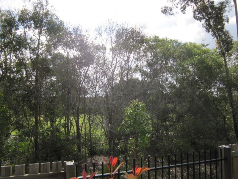 189/1 Bass Court, North Lakes QLD 4509