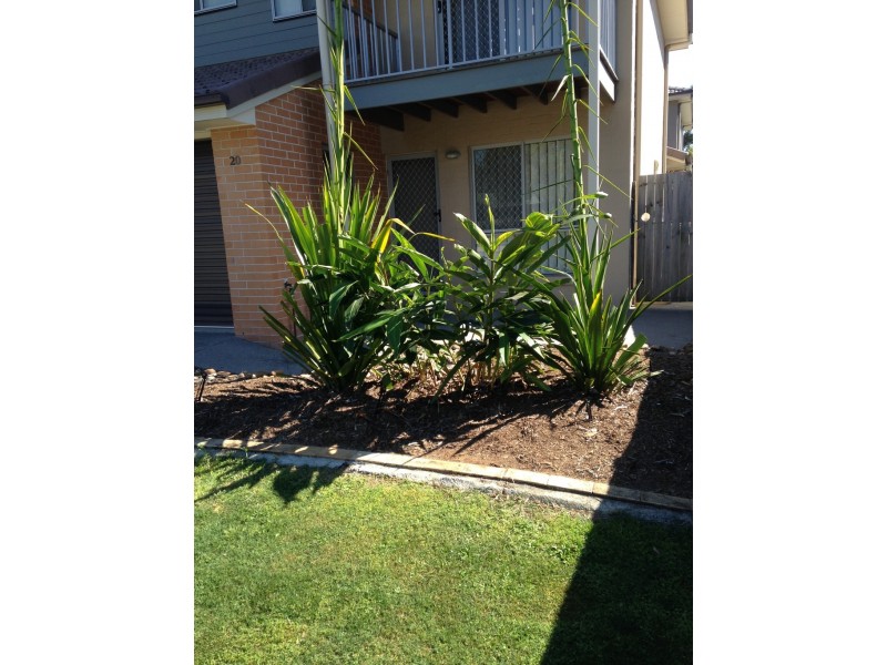 20/19 Magree Street, Kallangur QLD 4503