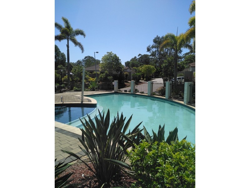 590 Pine Ridge Road, Coombabah QLD 4216