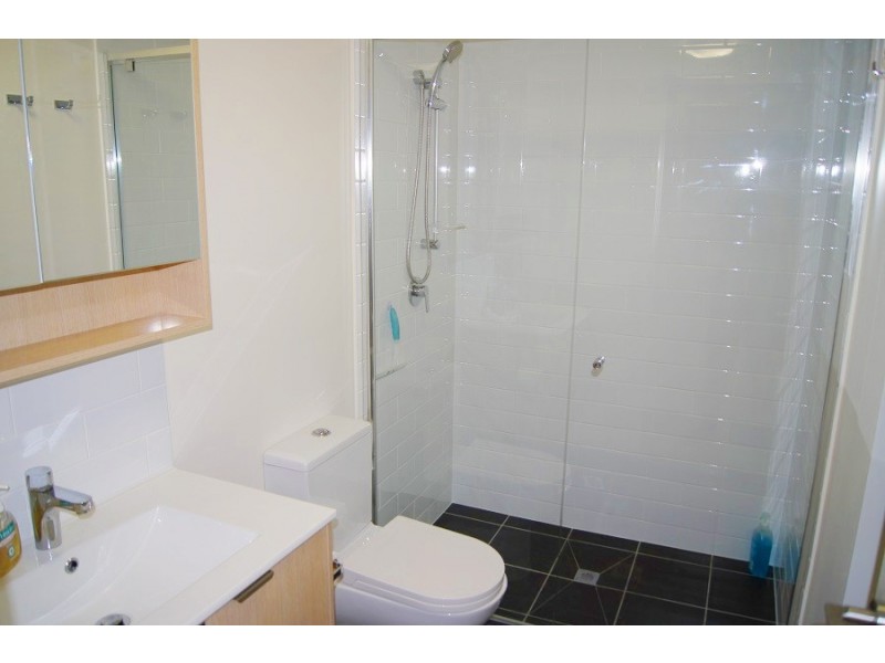 19/19 Talbot Street, Coorparoo QLD 4151