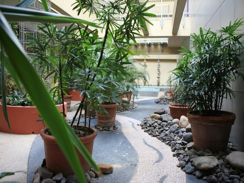 531/38 Warner Street, Fortitude Valley QLD 4006