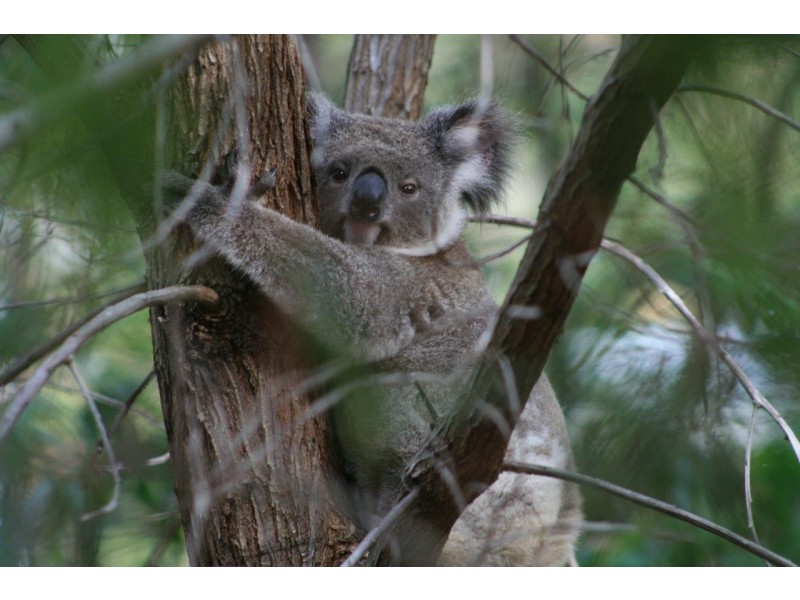 45 LANCASHIRE DRIVE, Mudgeeraba QLD 4213