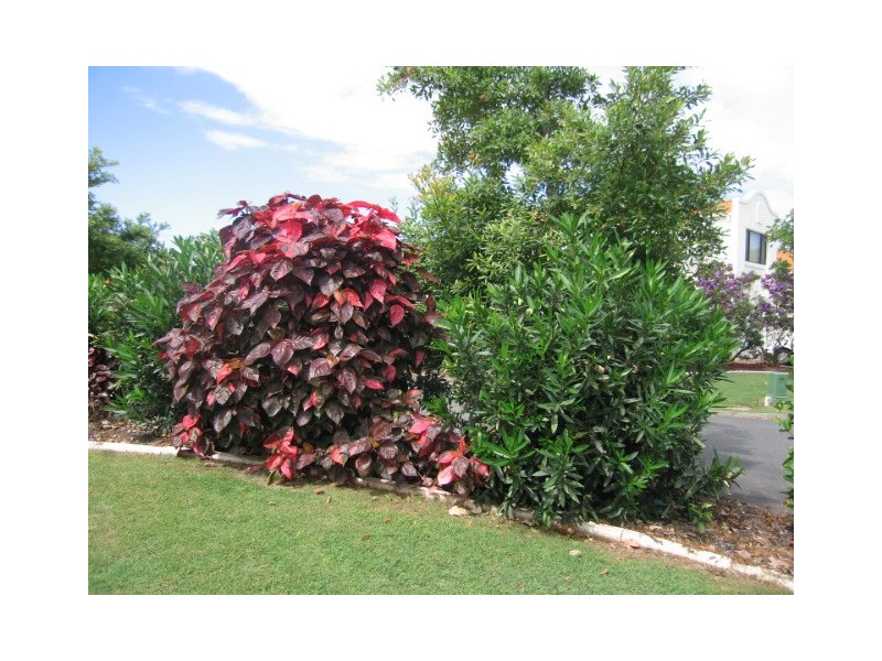 60  Caseys Rd, Hope Island QLD 4212