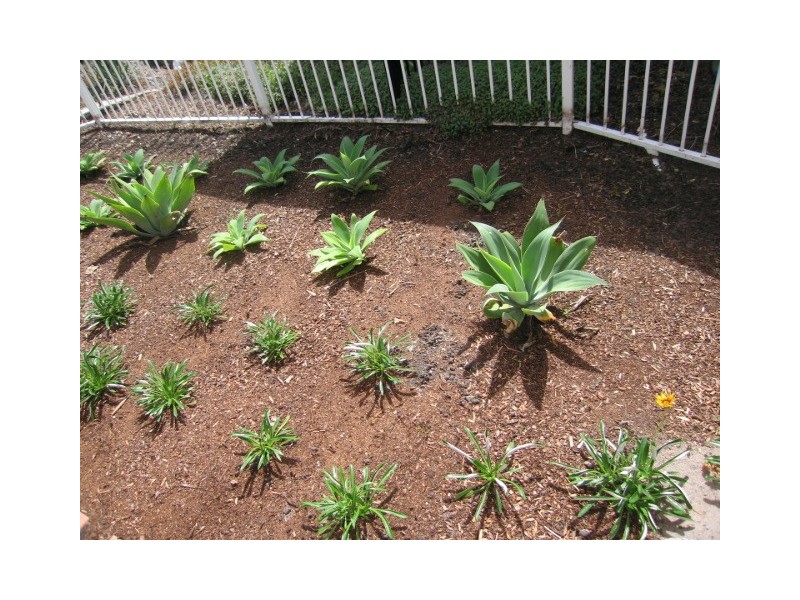 60  Caseys Rd, Hope Island QLD 4212