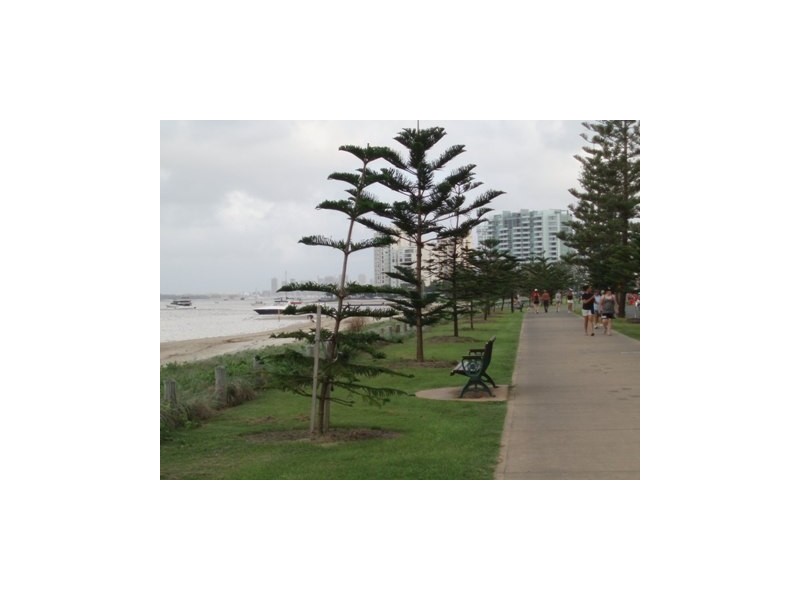 24/416 Marine Parade, Biggera Waters QLD 4216