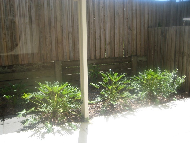 7, 44-50 Ryans Road, Northgate QLD 4013