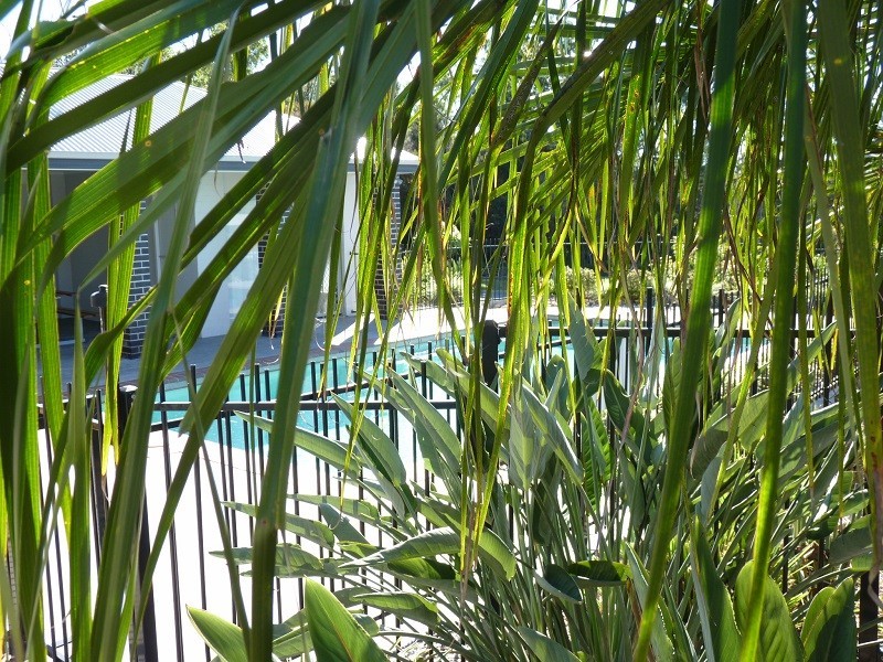 49/1 Archer Close, North Lakes QLD 4509