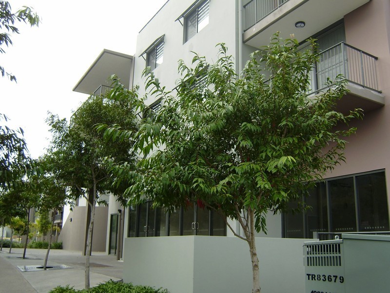 F10/2 Acacia Court, Robina QLD 4226