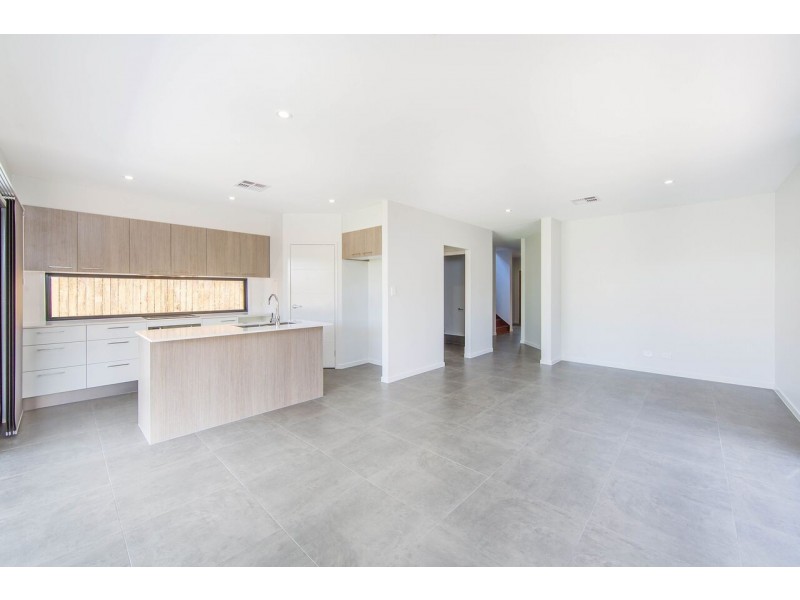 105 Griffith Street, Everton Park QLD 4053