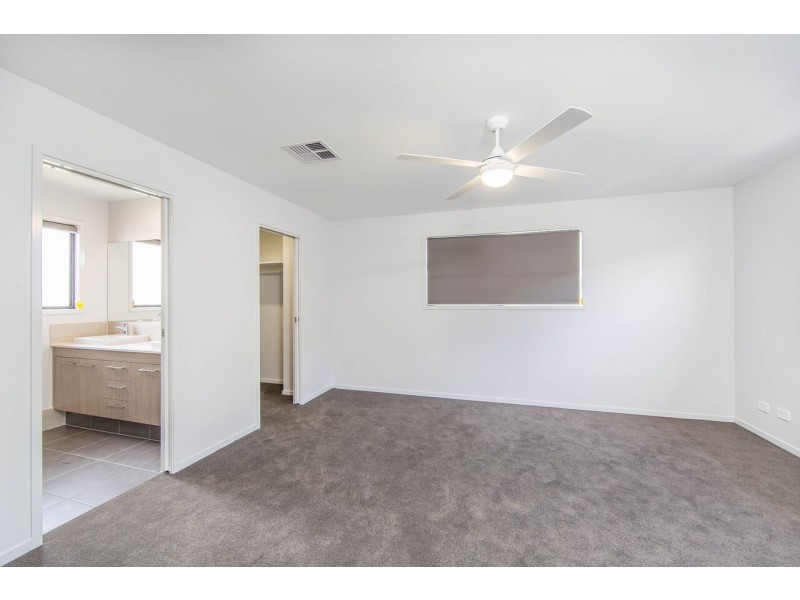 105 Griffith Street, Everton Park QLD 4053