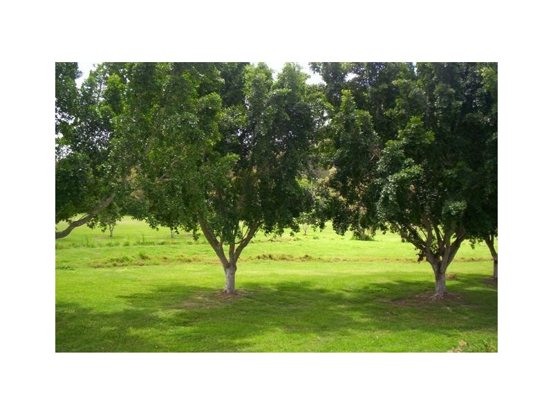 Mudgeeraba QLD 4213