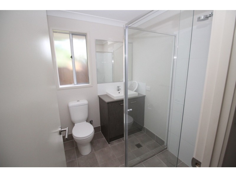 256 Bloomfield Street, Cleveland QLD 4163