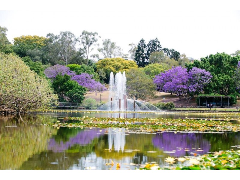 77 Depper Street, St Lucia QLD 4067