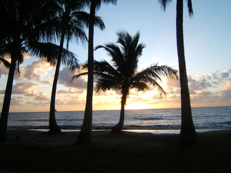 308a/139 Williams Esplanade, Palm Cove QLD 4879