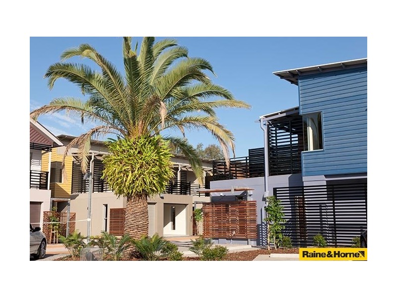 U29/123 Barrack Road, Cannon Hill QLD 4170