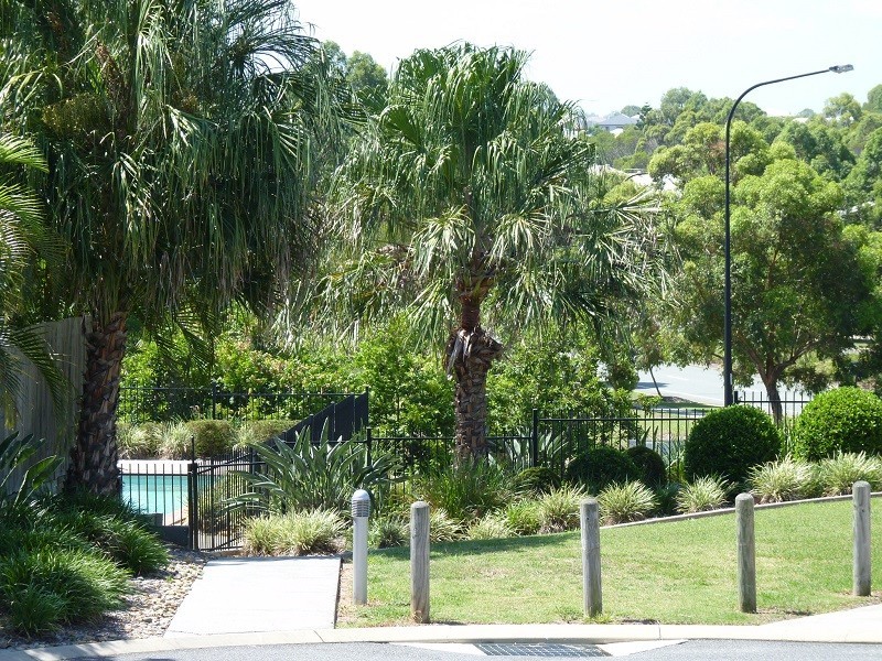 6/1 Archer Close, North Lakes QLD 4509