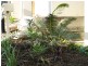 3/582 Manly Road, Wakerley QLD 4154