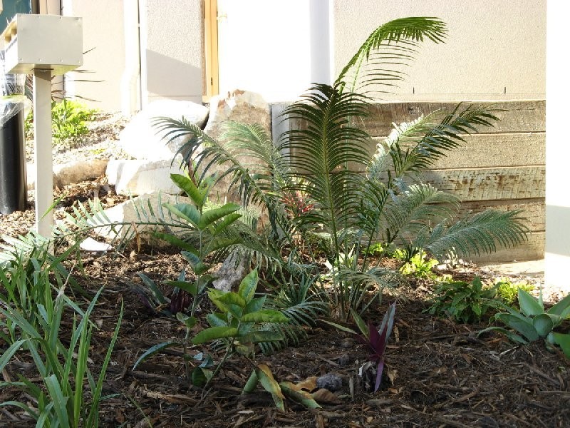 3/582 Manly Road, Wakerley QLD 4154