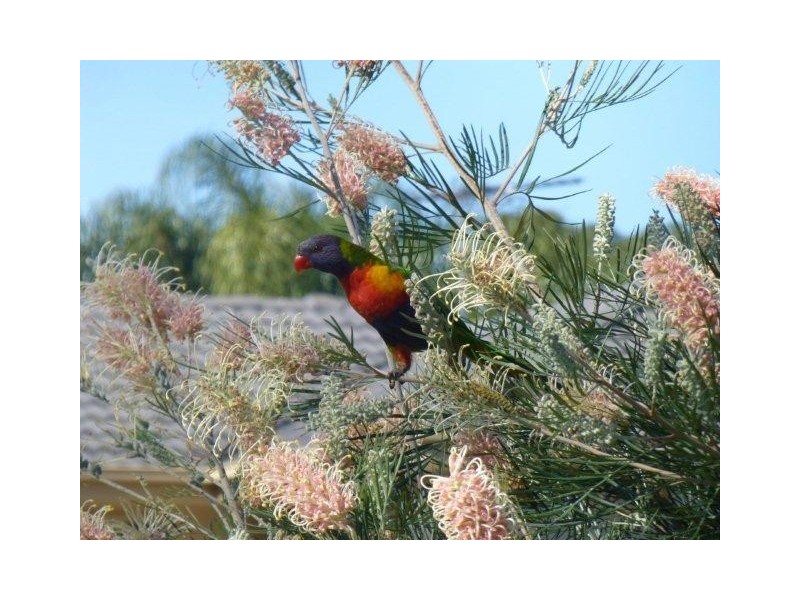 20/202-206 Fryar Road, Eagleby QLD 4207