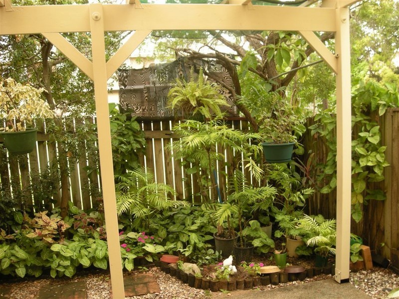 3/66 Primrose Street, Sherwood QLD 4075