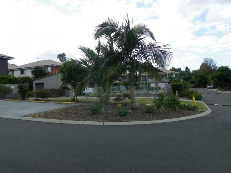 WS/99 Peverell Street, Hillcrest QLD 4118