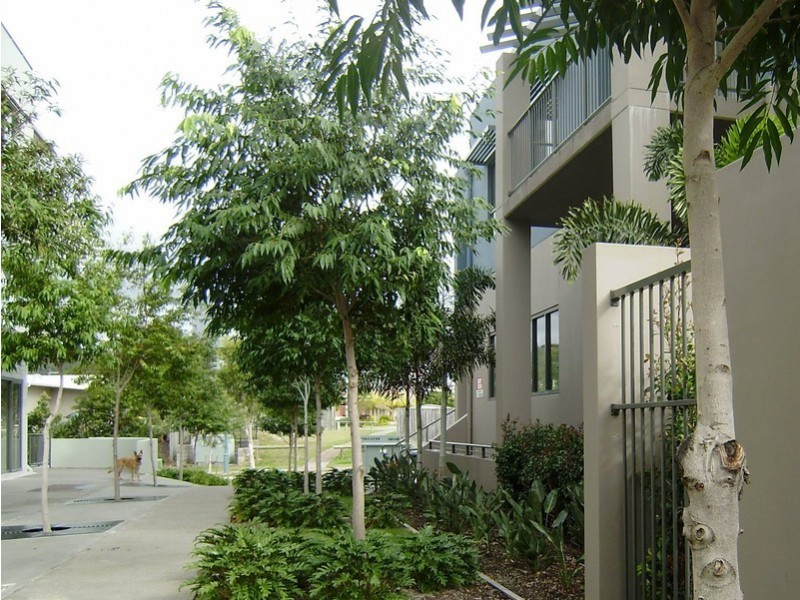 H2/2 Acacia Crt, Robina QLD 4226