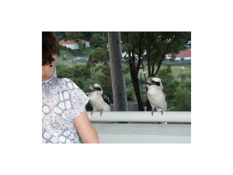 45/45 LANCASHIRE DRIVE, Mudgeeraba QLD 4213