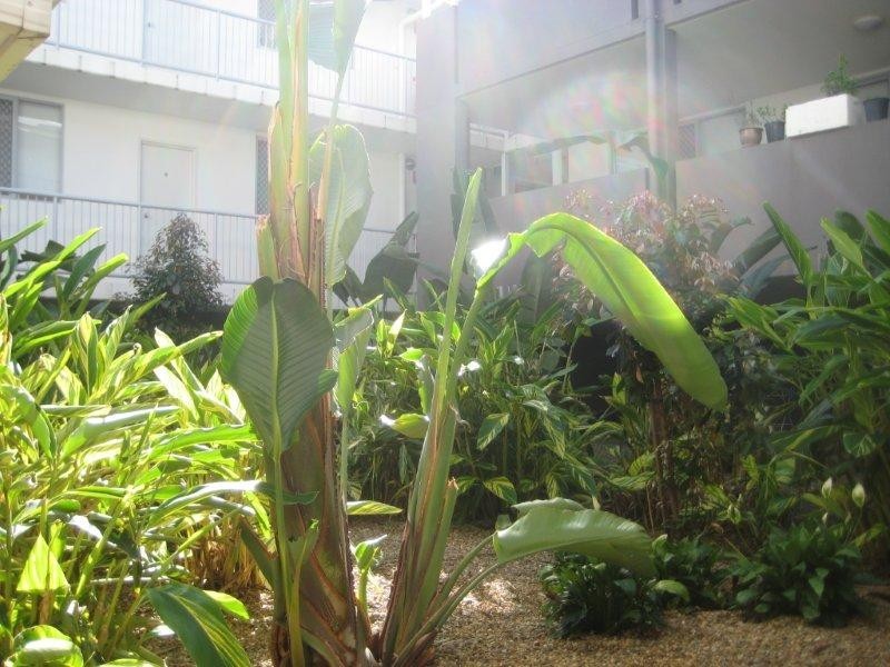 31, 223 Tufnell Road, Banyo QLD 4014