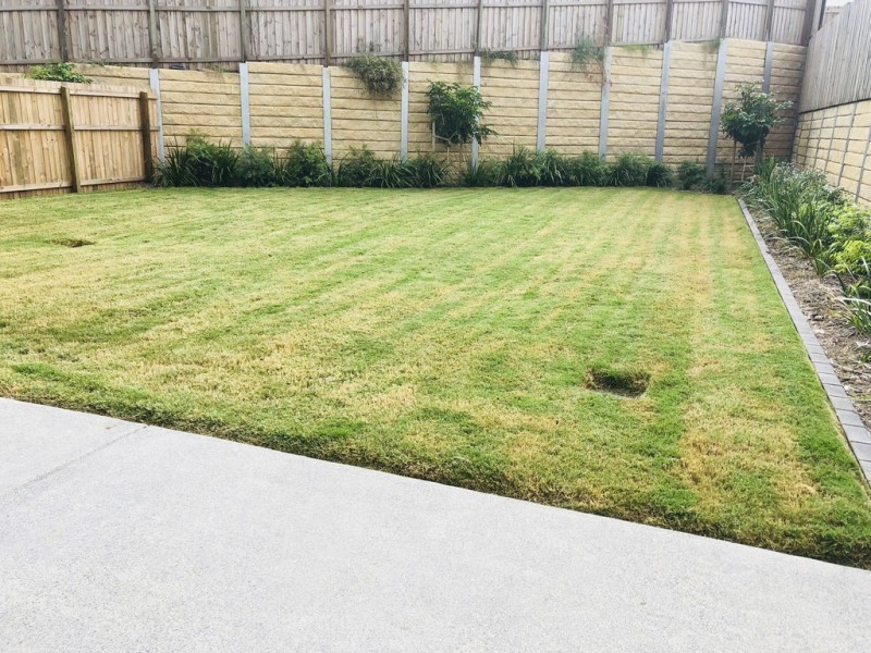 Springfield Lakes QLD 4300