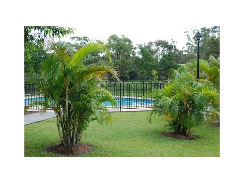 3/62 Franklin Drive, Mudgeeraba QLD 4213