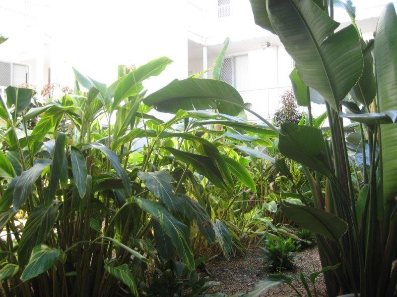 28 223 Tufnell Road, Banyo QLD 4014