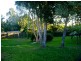 54 Anakie Drive, Cornubia QLD 4130