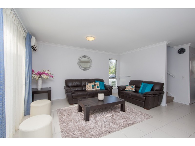 41/60 Cowie Rd, Carseldine QLD 4034