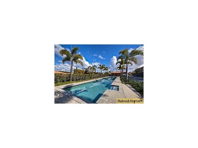 31/4 UNIVERSITY DRIVE, Robina QLD 4226