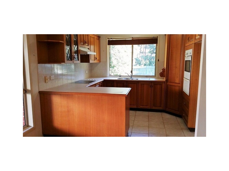 14 Cowell Drive, Burleigh Heads QLD 4220