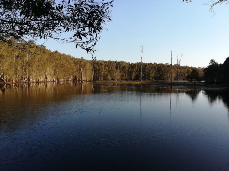 24/127 Bilby Drive, Morayfield QLD 4506