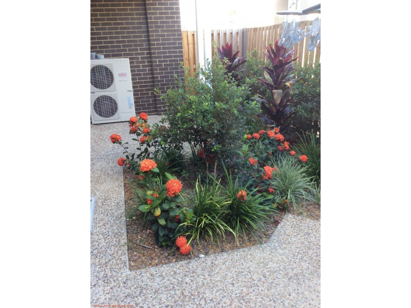 30 /400 TINGAL RD, Wynnum QLD 4178
