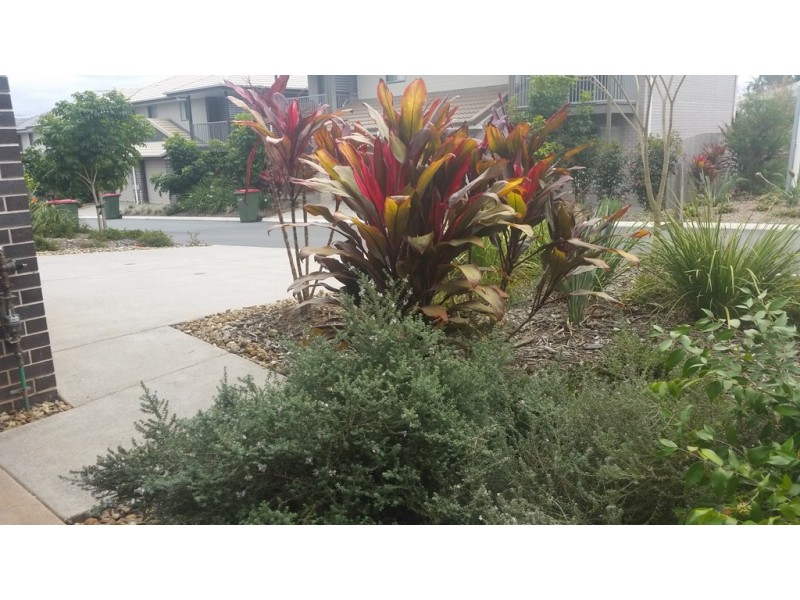 142/108 Alma, Dakabin QLD 4503