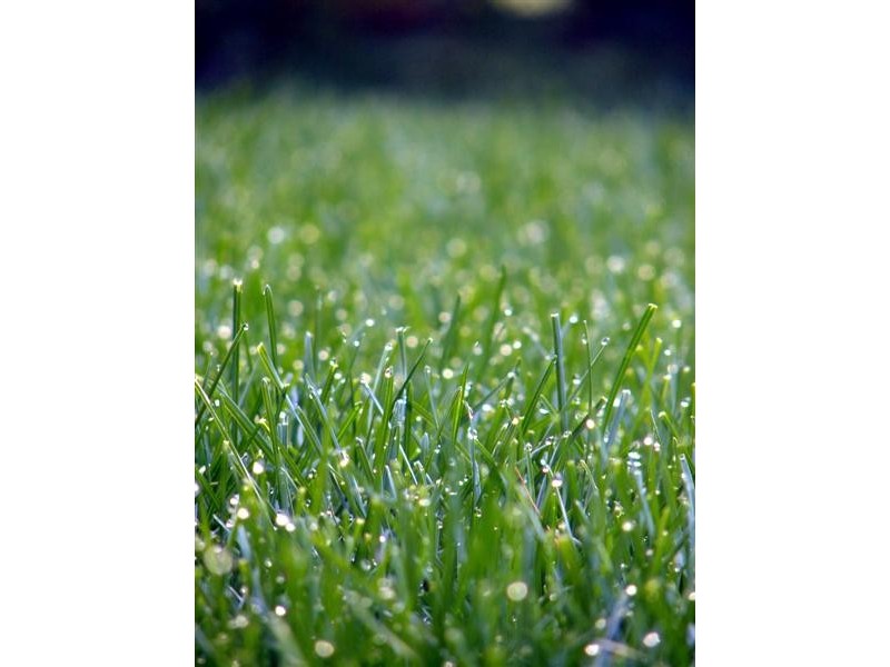 15 Gulubia Place, Calamvale QLD 4116