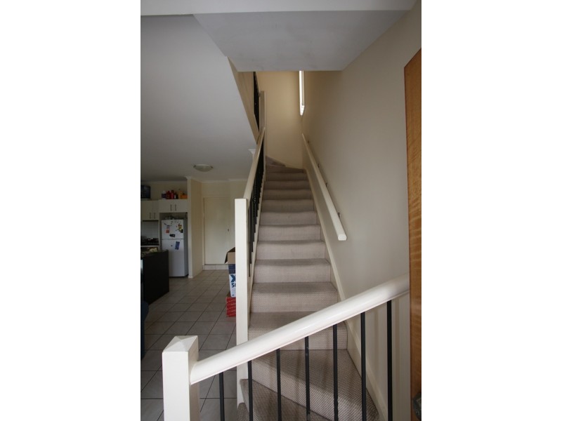 1/77 Depper Street, St Lucia QLD 4067