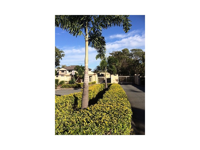 56/202-206 Fryar Road, Eagleby QLD 4207
