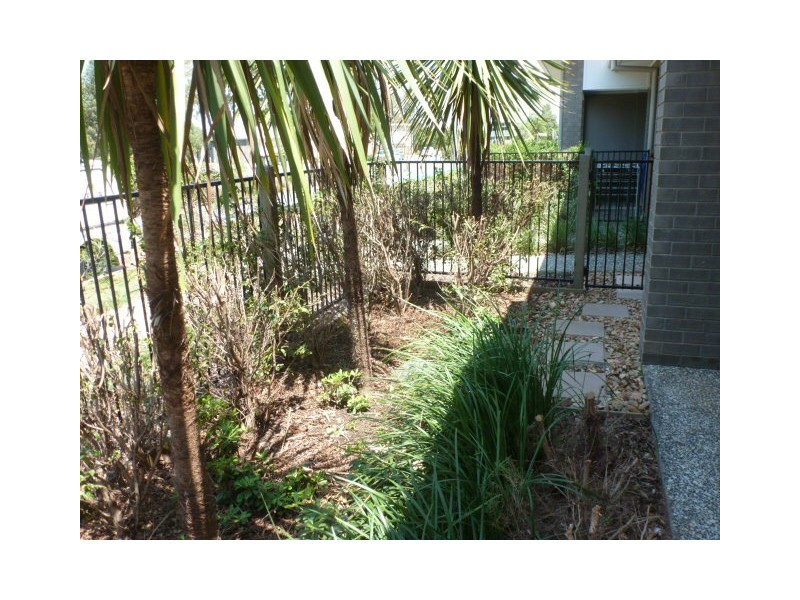 86 Carselgrove Ave, Fitzgibbon QLD 4018
