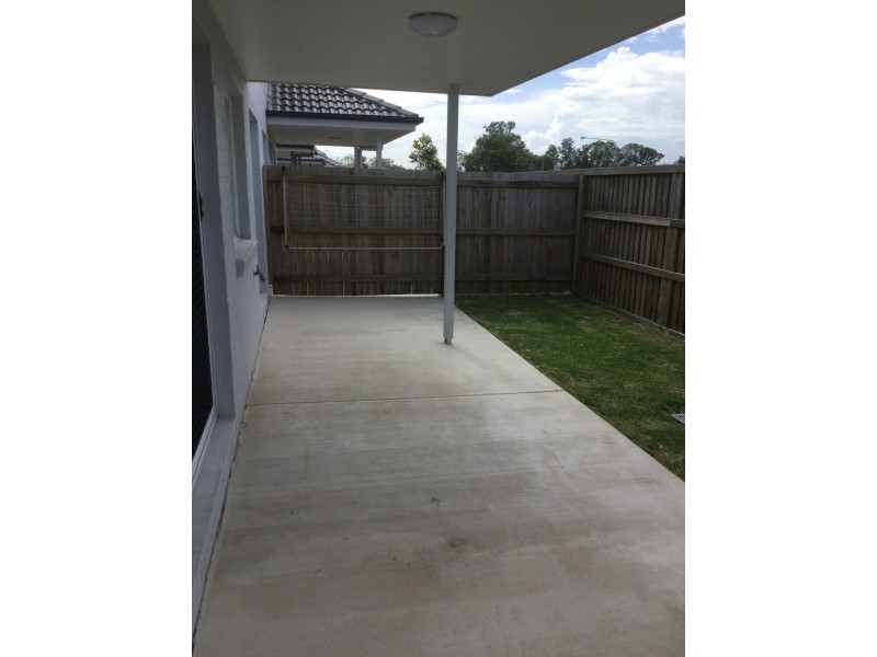 Griffin QLD 4503