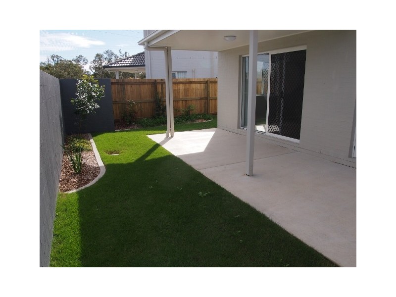 Griffin QLD 4503