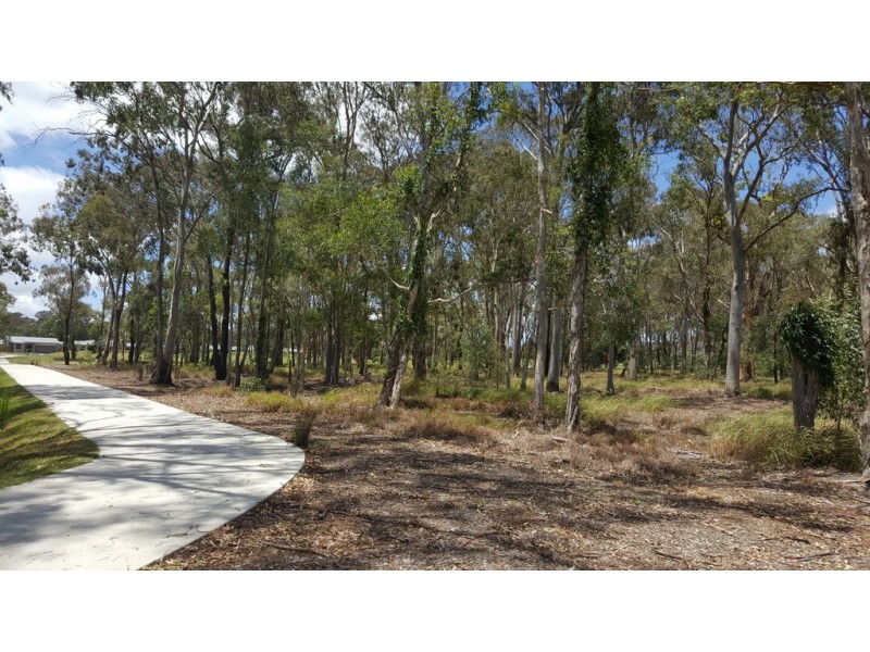 11 Rachow Street, Thornlands QLD 4164