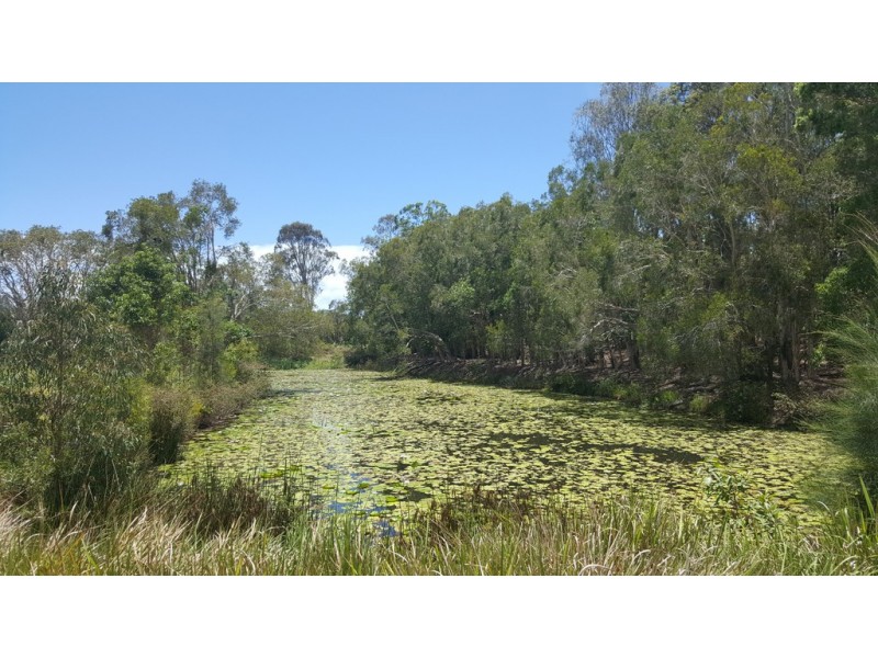 11 Rachow Street, Thornlands QLD 4164