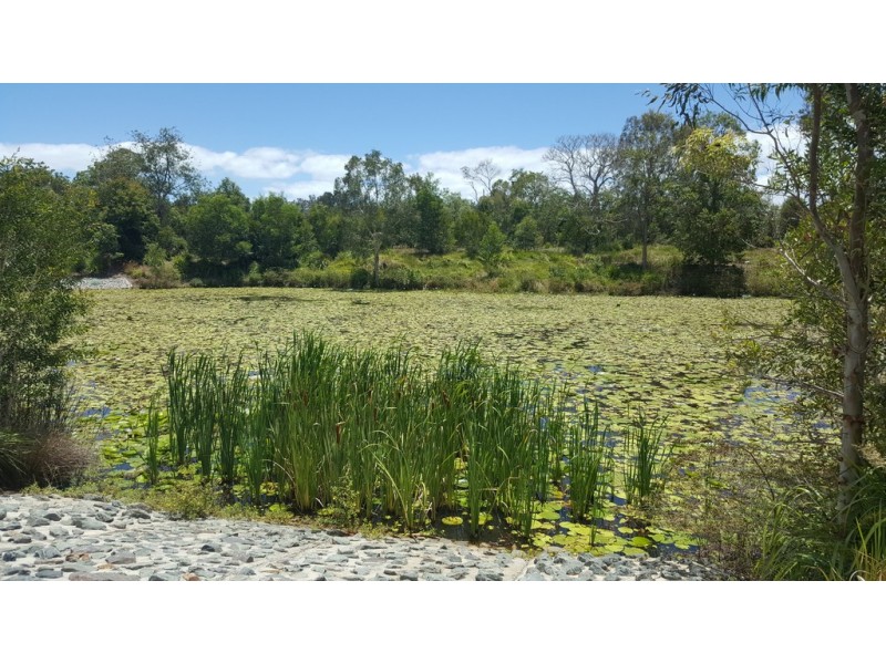 11 Rachow Street, Thornlands QLD 4164