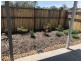 5 McKenzie Road, Mango Hill QLD 4509
